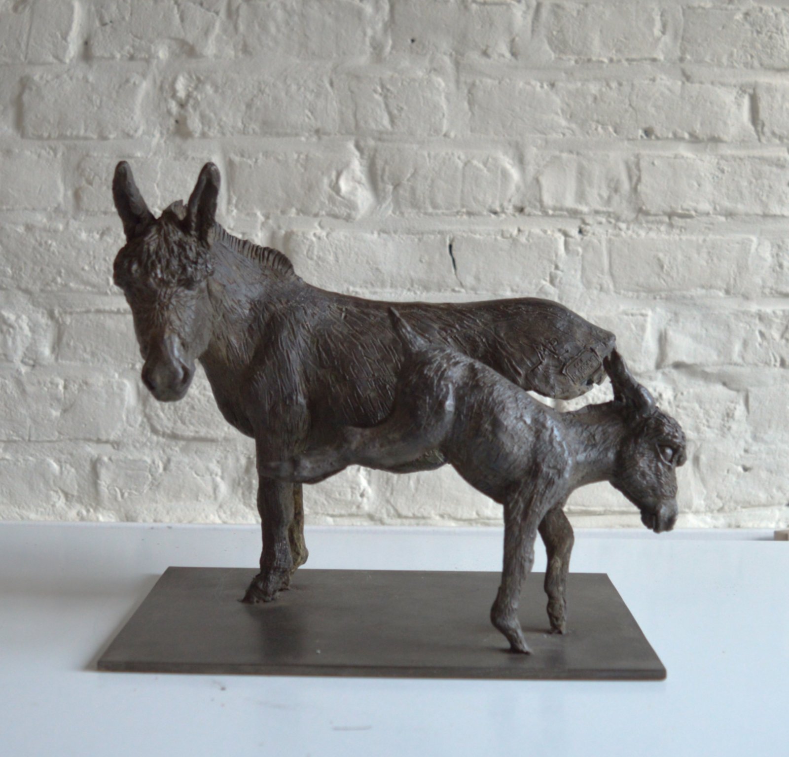 donkey business