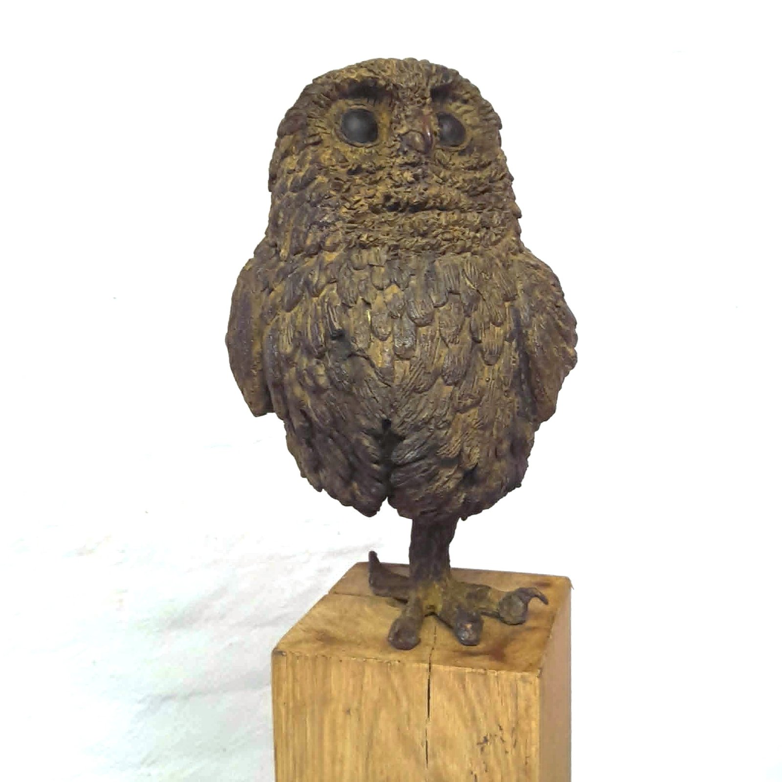 owl on guard