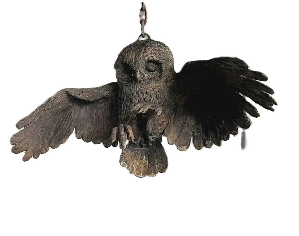 you can surely fly