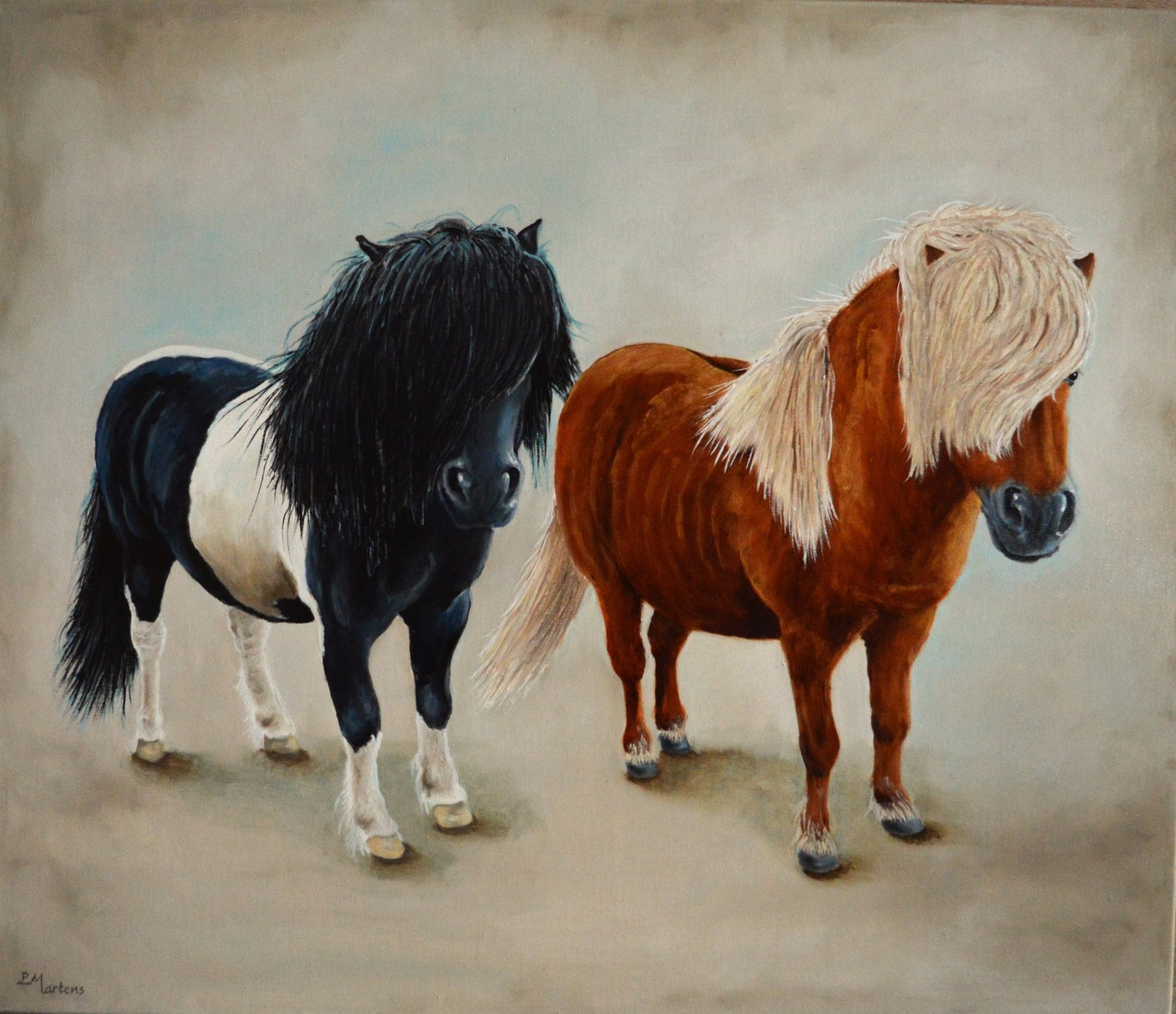 pony's in opdracht